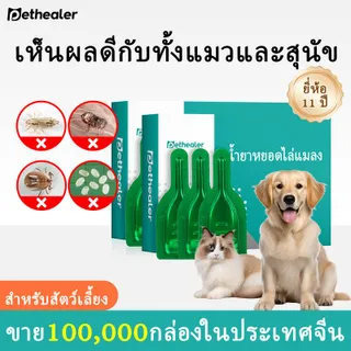 สัตว์เลี้ยง สุนัข และแมว สามารถเป็นเพื่อนที่ดี