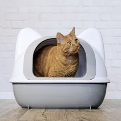 10 กระบะทรายแมว ยี่ห้อไหนดี ขนาดใหญ่ ป้องกันทรายกระเด็นได้ดี