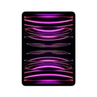 iPad Pro 11-inch Wi-Fi 2TB Space Gray 2022 (4th Gen) (194253266846)