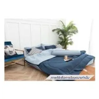 ชุดผ้าปูที่นอน 3.5 ฟุต (ชุด 4 ชิ้น) SANTA BEDDING สี LIGHT BLUE/NAVY BLUE (1292691)