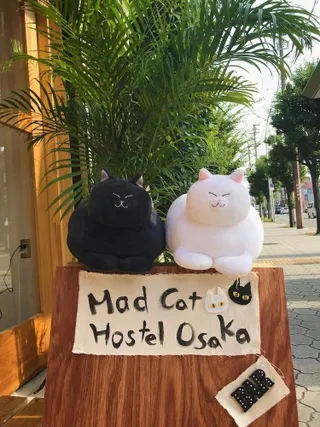 MAD Cat Hostel Osaka & Bar