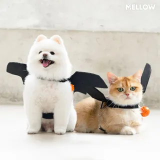 พร็อพฮาโลวีน ปีกค้างคาว 