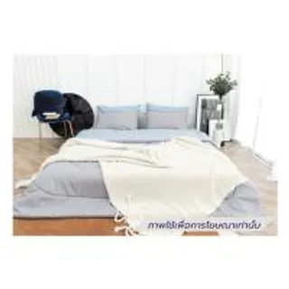 ชุดผ้าปูที่นอน 3.5 ฟุต (ชุด 4 ชิ้น) SANTA BEDDING สี LIGHT BLUE/LIGHT GREY (1292714)