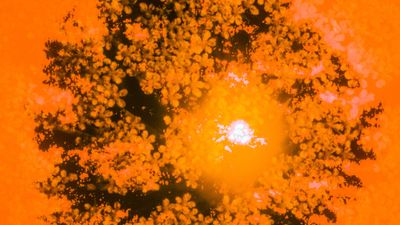 เพราะอากาศแปรปรวนบ่อย มันทำให้ฉัน…