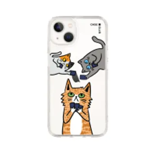 iPhone 13 Clear Case Cats & Cards (88528791047838852879330434)
