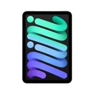 iPad mini 6 (2021) Wi-Fi + Cellular 256GB Space Gray (194252509135)