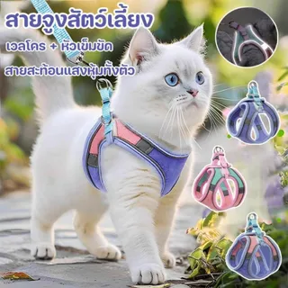 สายจูงสัตว์เลี้ยง สายจูงแมวรัดอก เสื้อ เสื้อรัดอกแมว สะท้อนแสงกลางคืน ปรับระดับได้