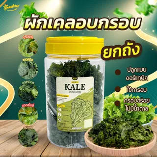 [เคลถัง] ผักเคลอบกรอบ 1 ถัง ตัวฮิต ออร์แกนิก ไขมันต่ำ ไม่ทอด กรอบ กินเพลิน แบบไม่รู้สึกผิด snackies