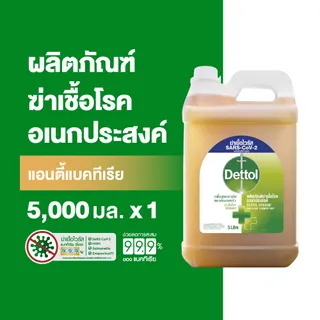 Dettol เดทตอล น้ำยาฆ่าเชื้อเดทตอล น้ำยาฆ่าเชื้อโรค ไฮยีนมัลติ-ยูส น้ำยาถูพื้น 5000มล.X1 Dettol Hygiene Multi-use 5000mlX1
