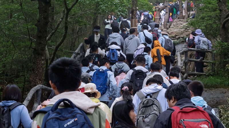 เมื่อการ ‘เดินป่า’ อาจกระทบกับสิ่งแวดล้อม ทำความรู้จักหลักการ ‘Leave No Trace’ เราจะสำรวจธรรมชาติอย่างไรให้มีความรับผิดชอบ