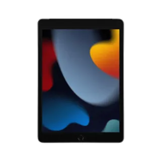 iPad 9 (2021) Wi-Fi + Cellular 256GB 10.2 inch Space Gray (194252522134)