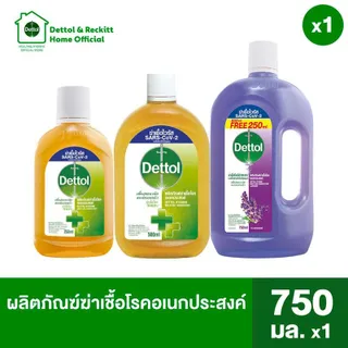 [เลือกสูตรได้] เดทตอล ไฮยีน มัลติ-ยูส ดิสอินแฟคแทนท์ ผลิตภัณฑ์ทำความสะอาดอเนกประสงค์ 250-750 มล. x1