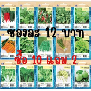 เมล็ดผัก เจียไต๋ ซื้อ 10 แถม 2 มีโค๊ดส่วนลด (เมล็ดพันธุ์ผัก เจียไต๋ OP)