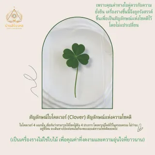 เครื่องรางใบโคลเวอร์ (Clover) สัญลักษณ์แห่งความโชคดี(สินค้าเชิงสัญลักษณ์) บ้านสิริมงคล Baan Sirimongkol