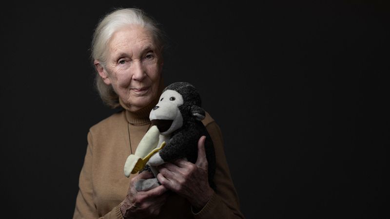 Jane Goodall นักวานรวิทยาชื่อดังวัย 91 ปี ผู้จุดประกายความหวังการอนุรักษ์ จากไปอย่างสงบเมื่อวันที่ 1 ตุลาคม 2025