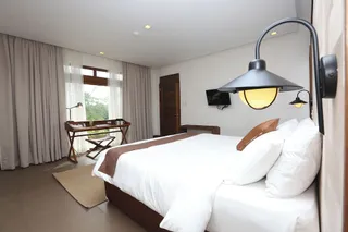 The Funny Lion (Coron)